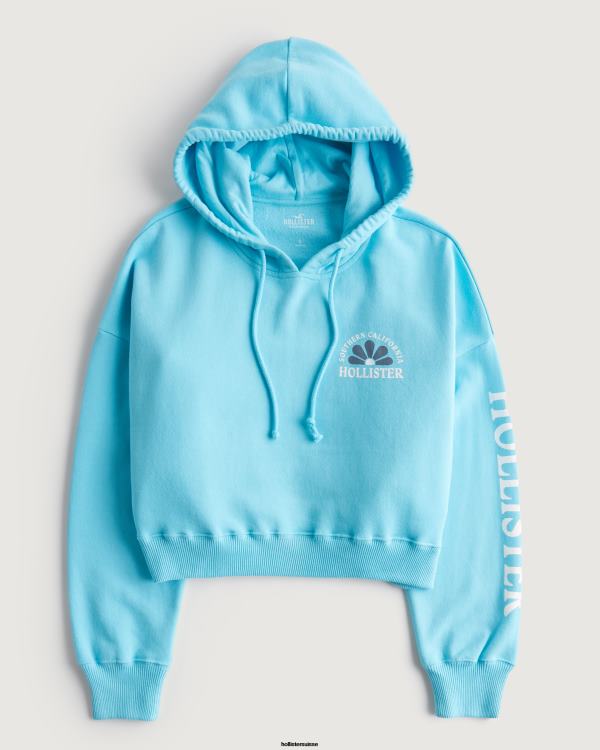 sweat à capuche à logo imprimé femmes bleu Hollister hauts RRRJX200