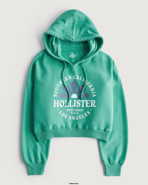 sweat à capuche à logo imprimé femmes vert Hollister hauts RRRJX339