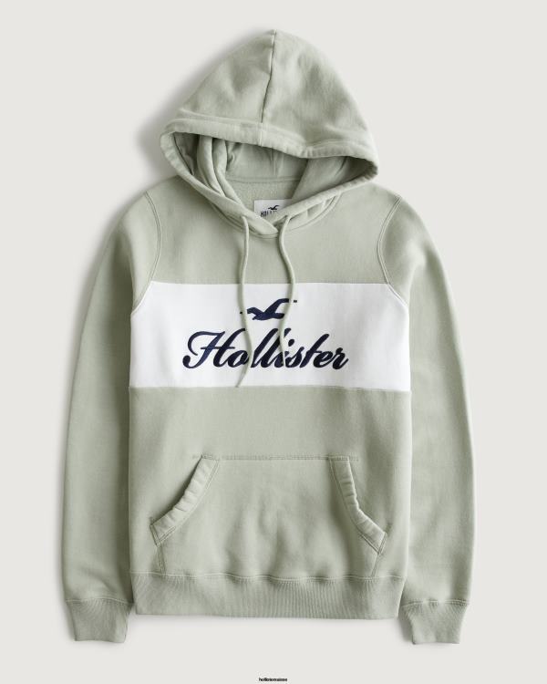 sweat à capuche à logo imprimé femmes vert sauge Hollister hauts RRRJX321