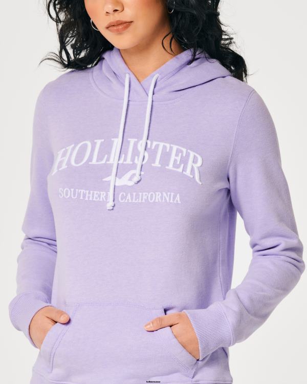 sweat à capuche à logo imprimé femmes violet Hollister hauts RRRJX155