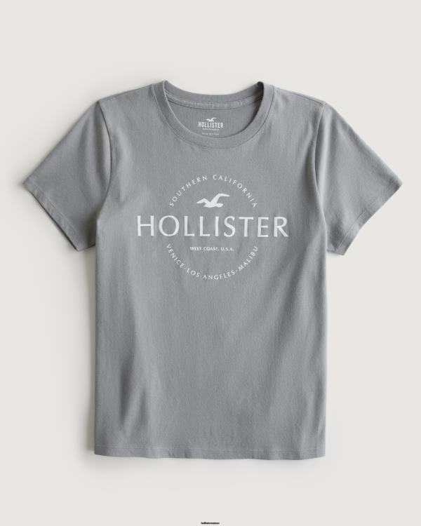 t-shirt graphique à logo femmes gris Hollister hauts RRRJX198