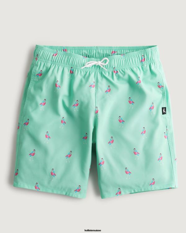 maillot de bain guard 7'' Hommes impression menthe Hollister bas RRRJX1395