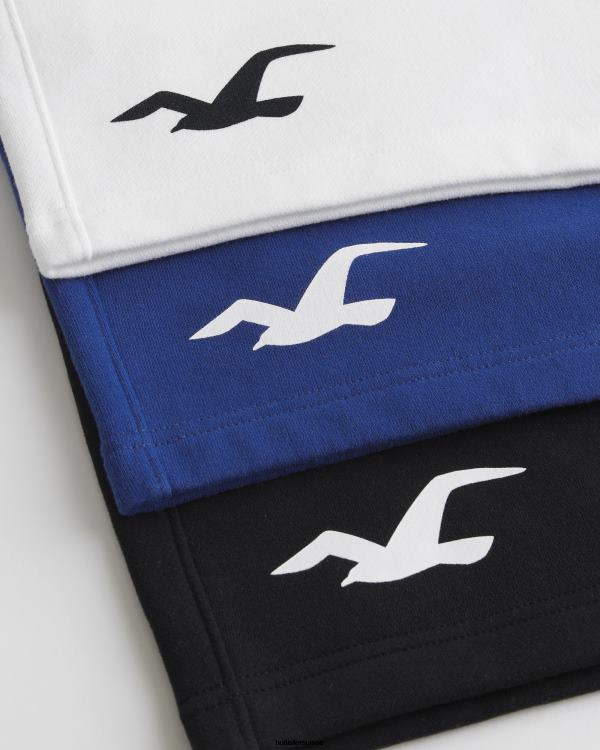 Lot de 3 shorts graphiques en molleton avec logo 7\'\' Hommes multi Hollister bas RRRJX1406