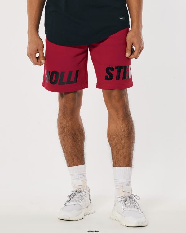 short graphique logo brillant en molleton 9\'\' Hommes rouge Hollister bas RRRJX1273