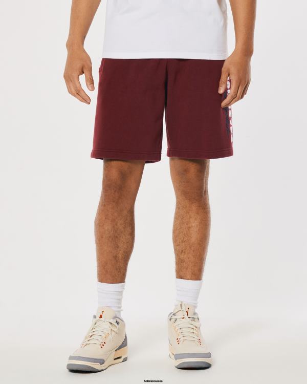 short molletonné logo graphique 9\'\' Hommes Bourgogne Hollister bas RRRJX1327