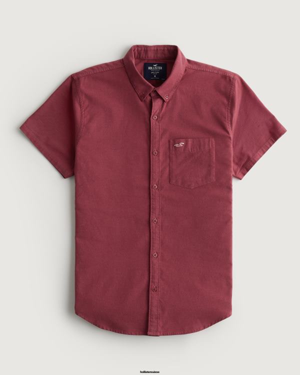 chemise oxford à logo iconique Hommes Bourgogne Hollister hauts RRRJX902