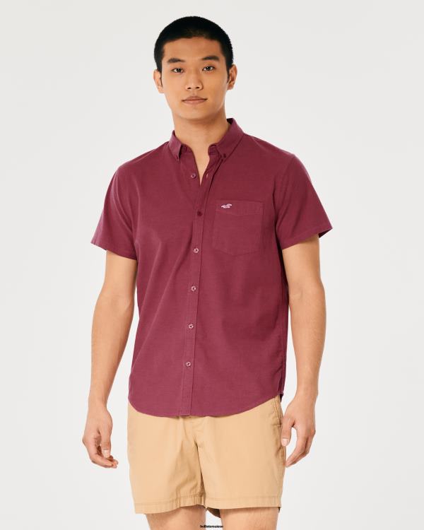 chemise oxford à logo iconique Hommes Bourgogne Hollister hauts RRRJX902