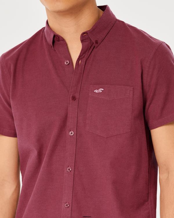 chemise oxford à logo iconique Hommes Bourgogne Hollister hauts RRRJX902