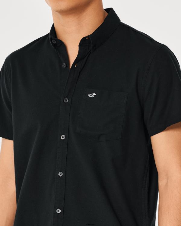 chemise oxford à logo iconique Hommes noir Hollister hauts RRRJX920