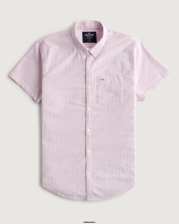 chemise oxford rayée à manches courtes Hommes bande bordeaux Hollister hauts RRRJX1037