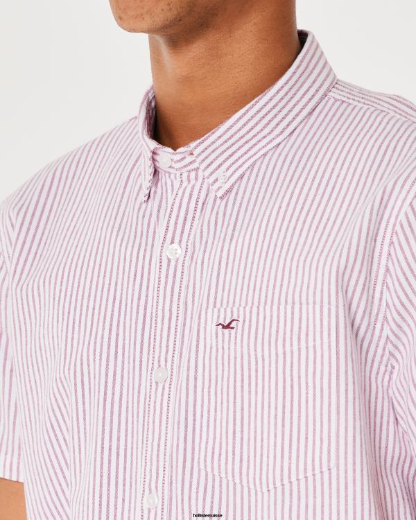 chemise oxford rayée à manches courtes Hommes bande bordeaux Hollister hauts RRRJX1037
