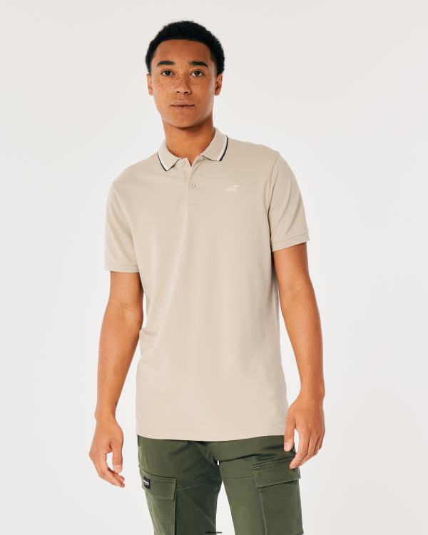polo à col à pointes Hommes gris chiné Hollister hauts RRRJX991