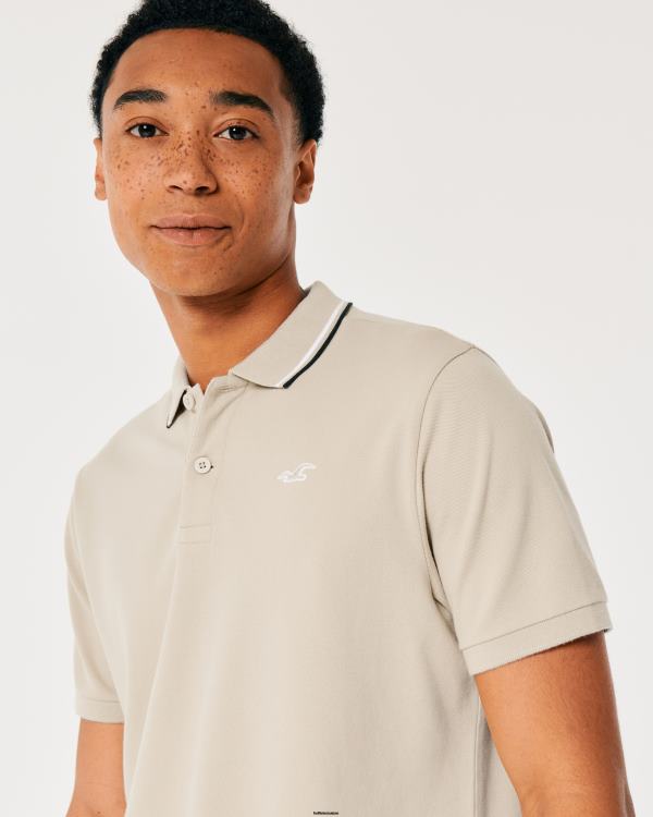 polo à col à pointes Hommes gris chiné Hollister hauts RRRJX991