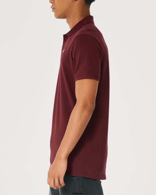 polo à logo Hommes Bourgogne Hollister hauts RRRJX1075