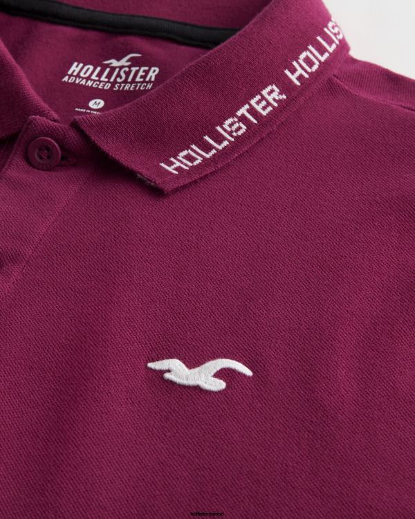 polo à logo Hommes Bourgogne Hollister hauts RRRJX1079