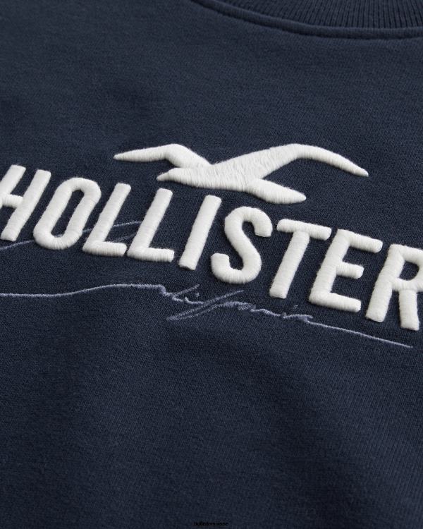 sweat ample à logo Hommes marine Hollister hauts RRRJX865