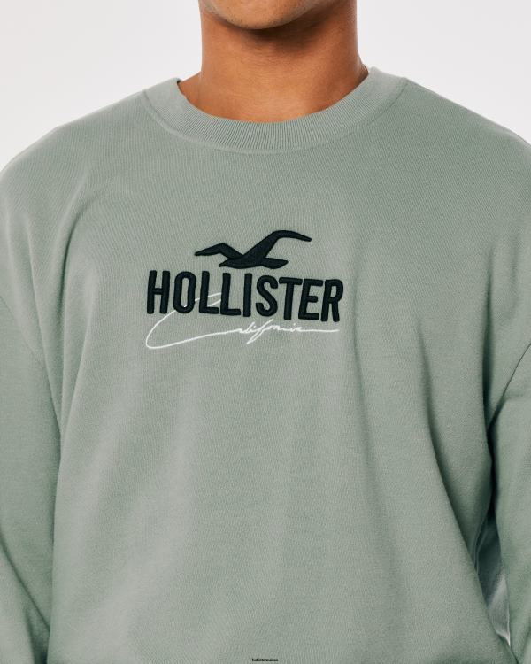 sweat ample à logo Hommes sage Hollister hauts RRRJX845