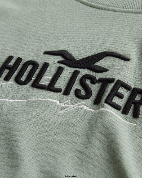 sweat ample à logo Hommes sage Hollister hauts RRRJX845
