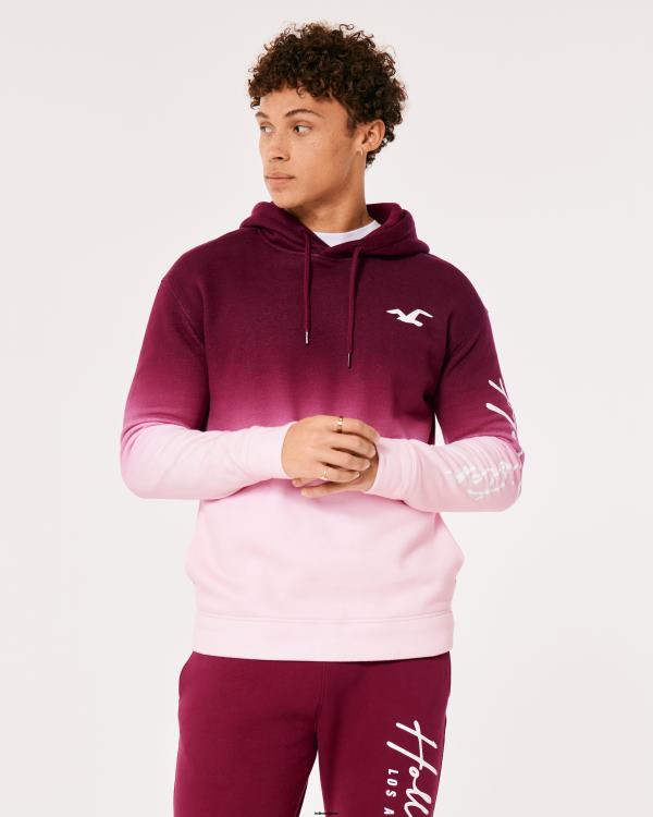 sweat à capuche graphique à logo ombré Hommes ombre bordeaux à rose Hollister hauts RRRJX1043