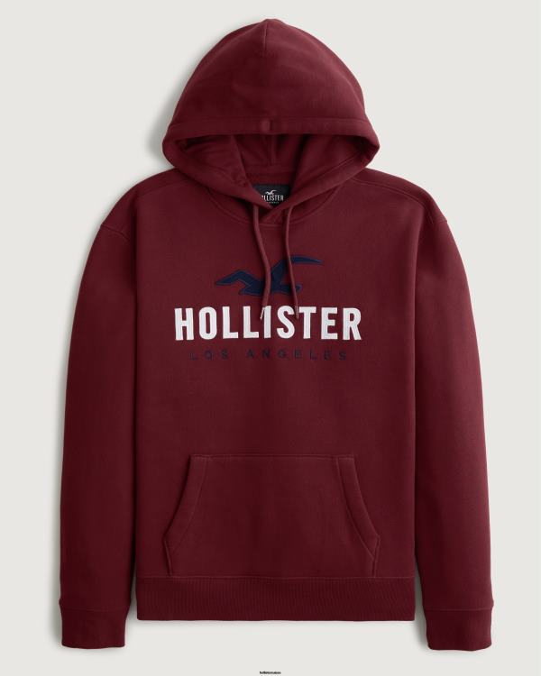 sweat à capuche à logo imprimé Hommes Bourgogne Hollister hauts RRRJX988