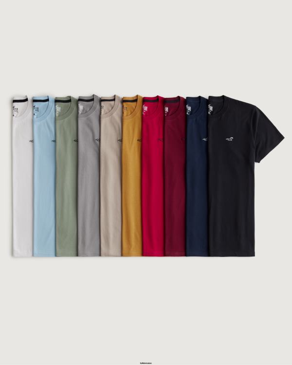 lot de 10 t-shirts à logo iconique Hommes icône du logo multi 10 Hollister hauts RRRJX867