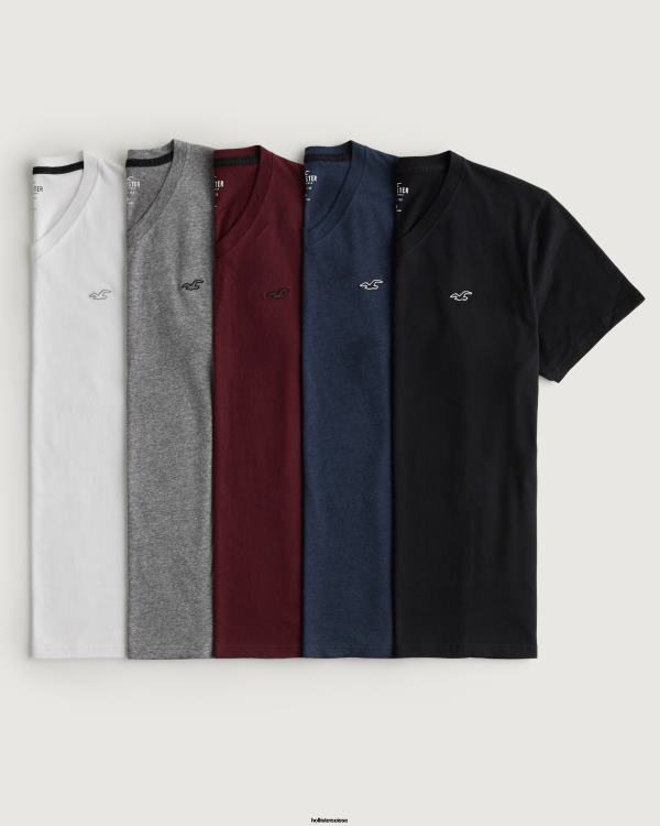 lot de 5 t-shirts à col v et logo iconique Hommes multi Hollister hauts RRRJX814