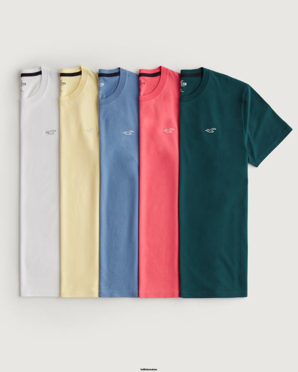 lot de 5 t-shirts ras du cou en coton à logo iconique Hommes équipage multi 5 icônes Hollister hauts RRRJX818