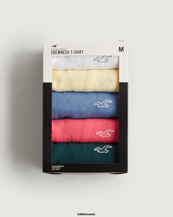 lot de 5 t-shirts ras du cou en coton à logo iconique Hommes équipage multi 5 icônes Hollister hauts RRRJX818