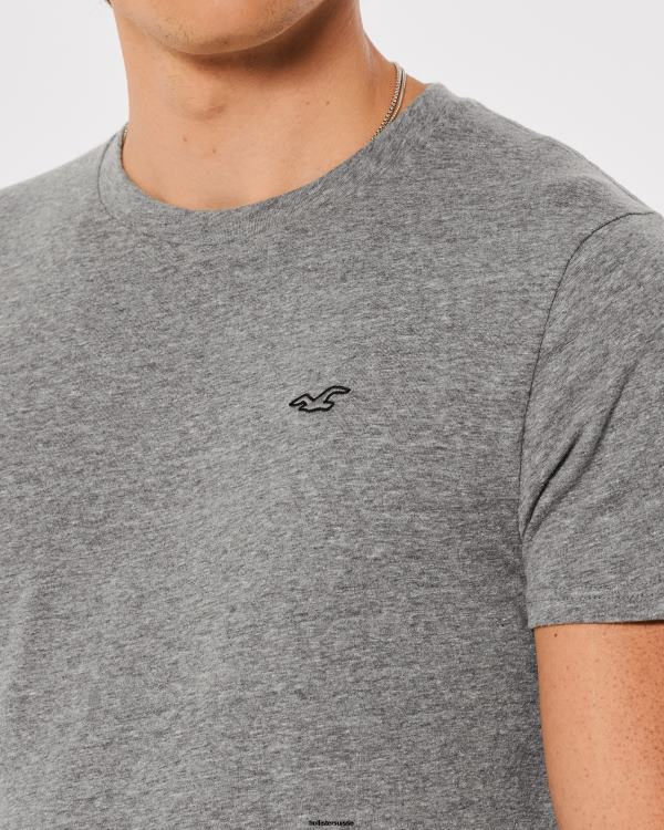 t-shirt à logo iconique Hommes gris chiné Hollister hauts RRRJX798