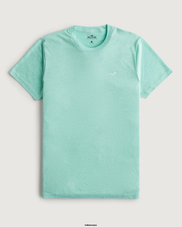 t-shirt à logo iconique Hommes menthe bruyère Hollister hauts RRRJX852