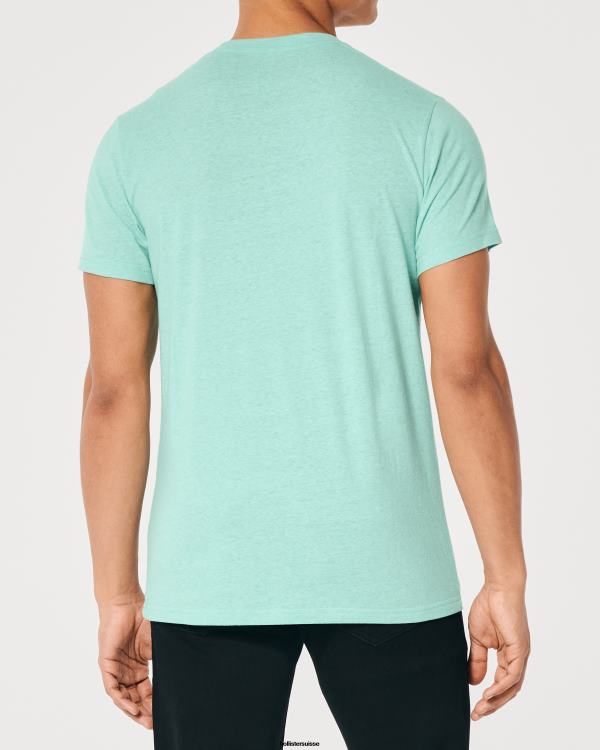 t-shirt à logo iconique Hommes menthe bruyère Hollister hauts RRRJX852