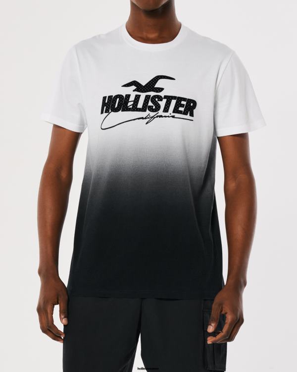 t-shirt graphique dégradé à logo en mesh Hommes ombre blanche à noire Hollister hauts RRRJX850