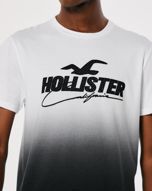 t-shirt graphique dégradé à logo en mesh Hommes ombre blanche à noire Hollister hauts RRRJX850