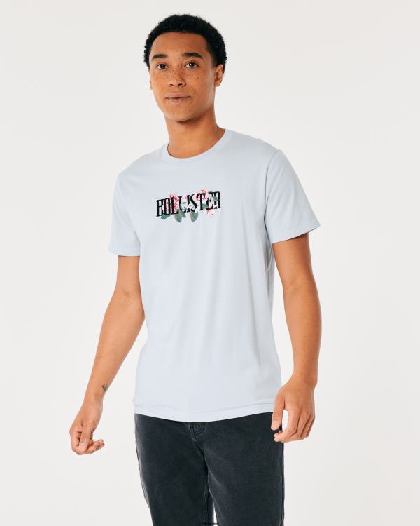 t-shirt graphique à fleurs Hommes bleu clair Hollister hauts RRRJX1056
