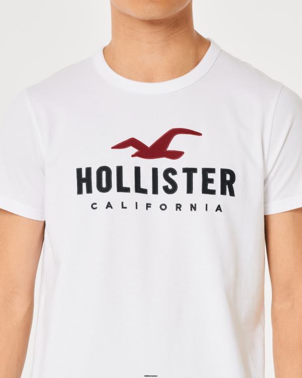 t-shirt graphique à logo Hommes bleu chiné clair Hollister hauts RRRJX982