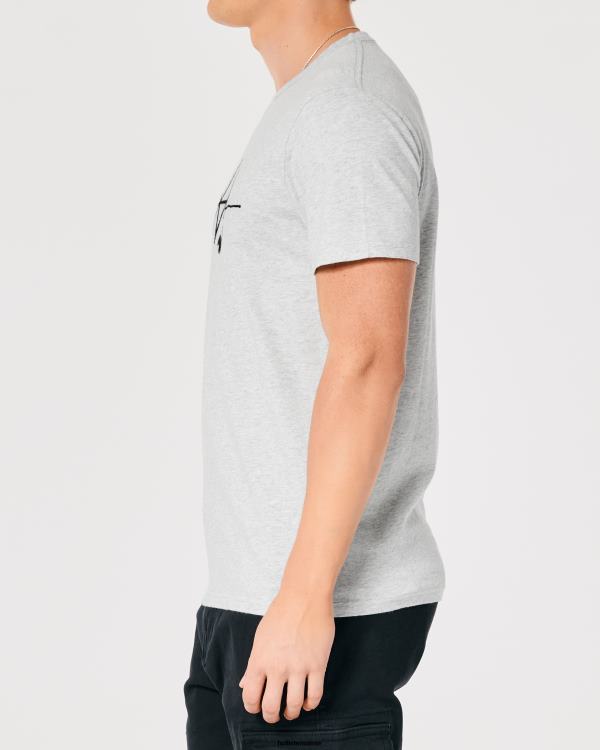 t-shirt graphique à logo Hommes gris chiné clair Hollister hauts RRRJX891