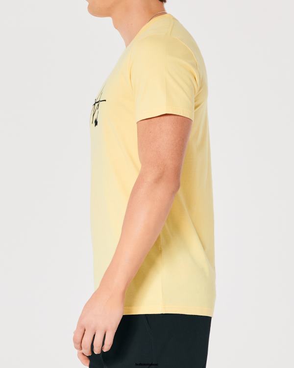 t-shirt graphique à logo Hommes jaune Hollister hauts RRRJX995