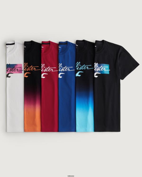 t-shirt graphique à logo, lot de 6 Hommes multi Hollister hauts RRRJX1042