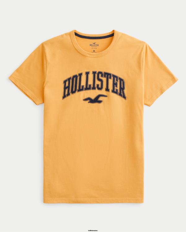 t-shirt graphique à logo universitaire Hommes jaune foncé Hollister hauts RRRJX885