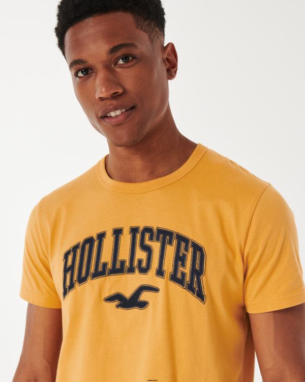 t-shirt graphique à logo universitaire Hommes jaune foncé Hollister hauts RRRJX885