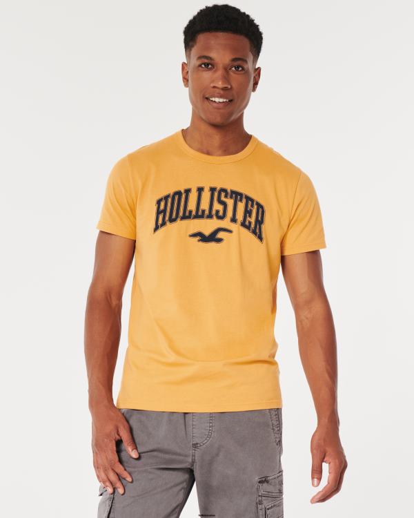 t-shirt graphique à logo universitaire Hommes jaune foncé Hollister hauts RRRJX885
