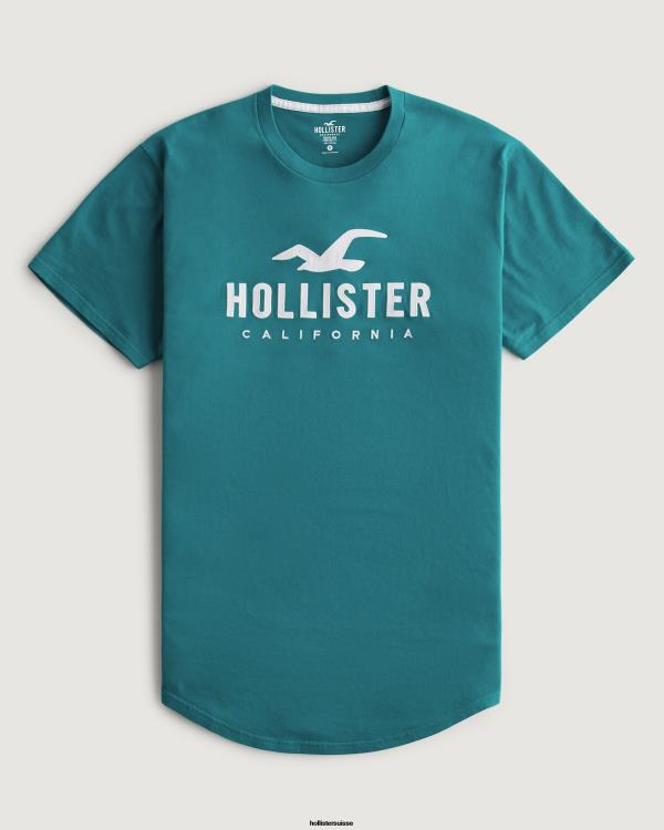 t-shirt graphique à ourlet arrondi Hommes Sarcelle foncée Hollister hauts RRRJX870
