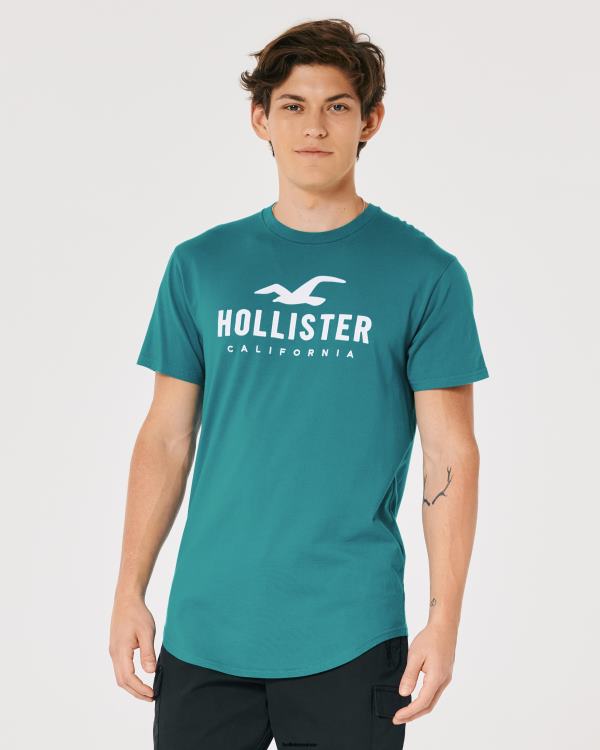 t-shirt graphique à ourlet arrondi Hommes Sarcelle foncée Hollister hauts RRRJX870