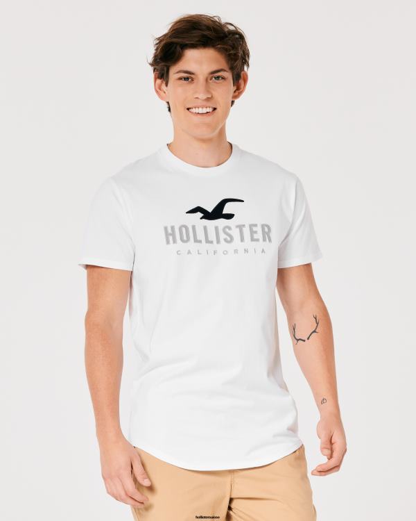 t-shirt graphique à ourlet arrondi Hommes blanc Hollister hauts RRRJX959