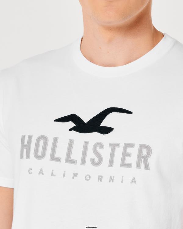 t-shirt graphique à ourlet arrondi Hommes blanc Hollister hauts RRRJX959