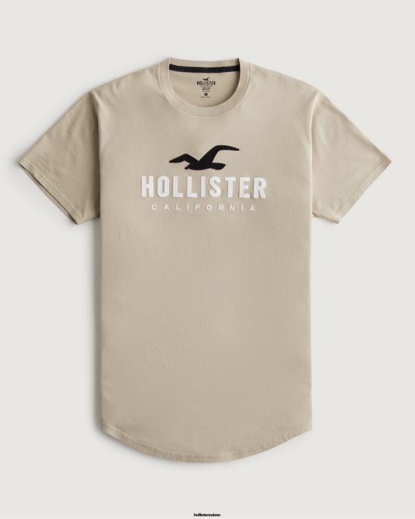 t-shirt graphique à ourlet arrondi Hommes bronzer Hollister hauts RRRJX868