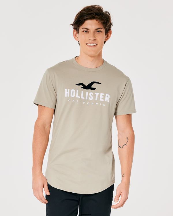 t-shirt graphique à ourlet arrondi Hommes bronzer Hollister hauts RRRJX868