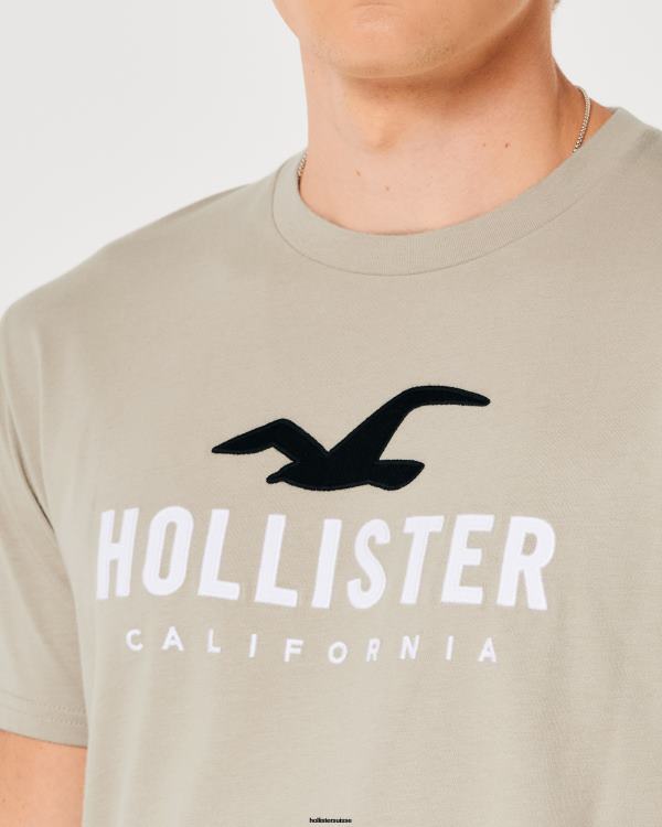 t-shirt graphique à ourlet arrondi Hommes bronzer Hollister hauts RRRJX868