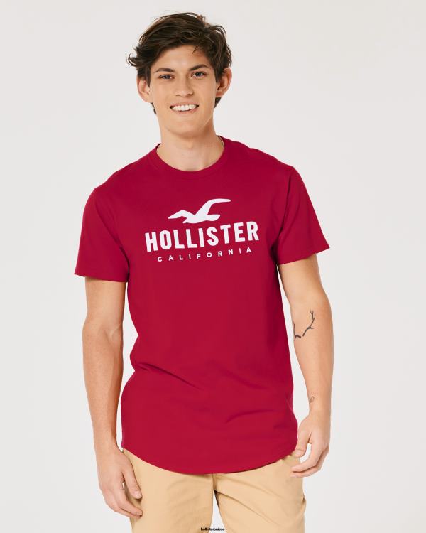 t-shirt graphique à ourlet arrondi Hommes rouge Hollister hauts RRRJX926
