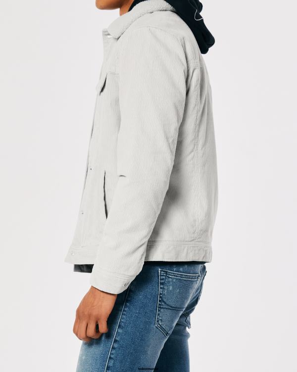 veste trucker en velours côtelé doublée de sherpa Hommes gris clair Hollister hauts RRRJX1025